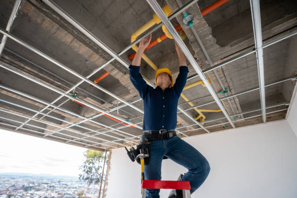 Best Local Plumber Services  in Harvey, LA