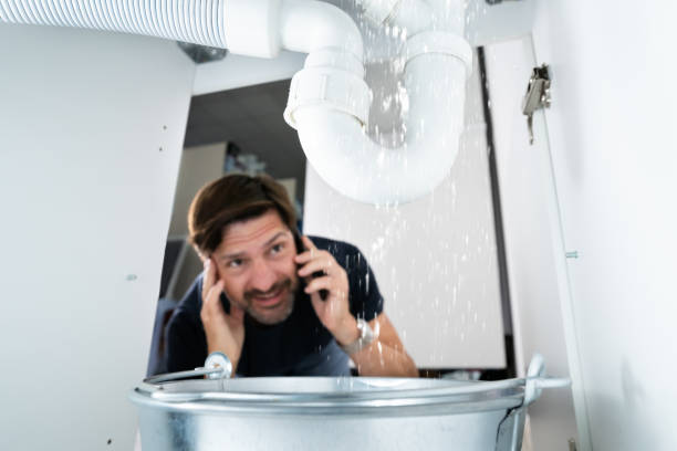 Best Septic Systems  in Harvey, LA